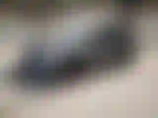 Vehicle Image- 2024 Volkswagen Tiguan