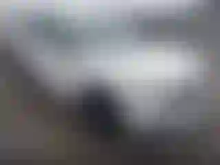 Vehicle Image- 2024 Volkswagen Tiguan