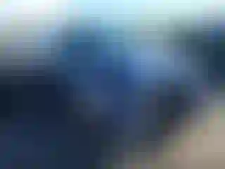 Vehicle Image- 2024 Volkswagen Tiguan