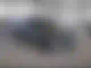 Vehicle Image- 2022 Volkswagen Tiguan