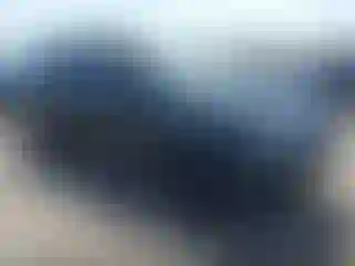 Vehicle Image- 2023 Volkswagen Tiguan