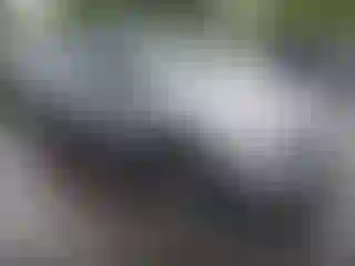 Vehicle Image- 2024 Volkswagen Tiguan