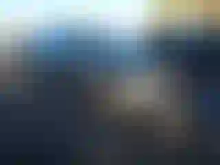 Vehicle Image- 2024 Volkswagen Tiguan