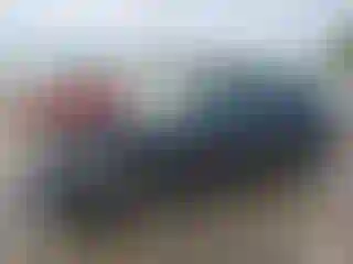 Vehicle Image- 2024 Volkswagen Tiguan