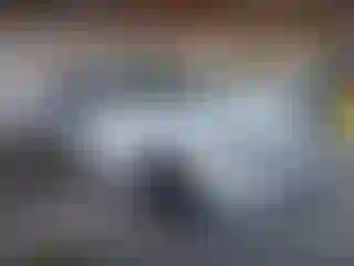 Vehicle Image- 2024 Volkswagen Tiguan