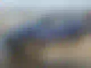 Vehicle Image- 2024 Volkswagen Tiguan