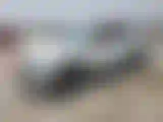 Vehicle Image- 2024 Volkswagen Tiguan