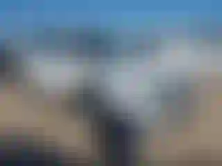 Vehicle Image- 2023 Volkswagen Tiguan