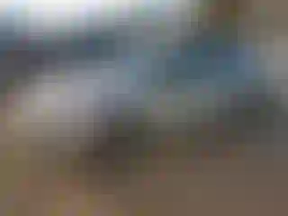 Vehicle Image- 2016 Volkswagen Jetta