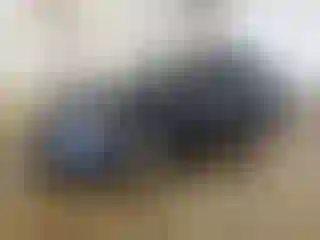 Vehicle Image- 2015 Volkswagen Golf