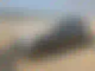 Vehicle Image- 2017 Volkswagen Golf