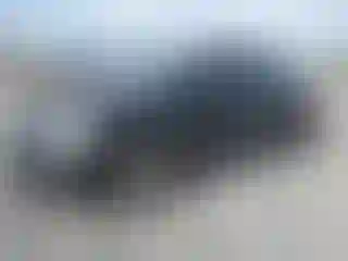 Vehicle Image- 2012 Volkswagen Beetle
