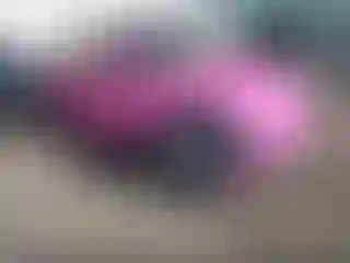 Vehicle Image- 2015 Volkswagen Beetle