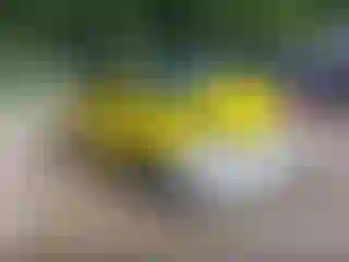 Vehicle Image- 2019 Volkswagen Beetle