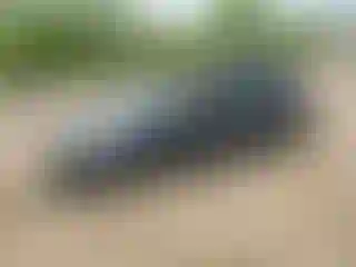 Vehicle Image- 2021 Volkswagen Golf