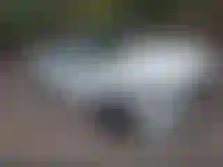 Vehicle Image- 2025 Volkswagen Jetta