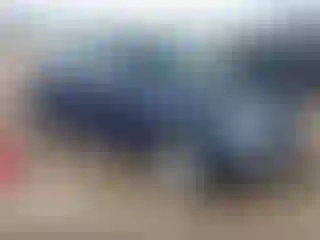 Vehicle Image- 2000 Volkswagen Beetle