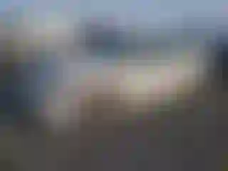 Vehicle Image- 2011 Volkswagen Jetta