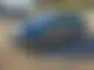 Vehicle Image- 2016 Volkswagen Golf