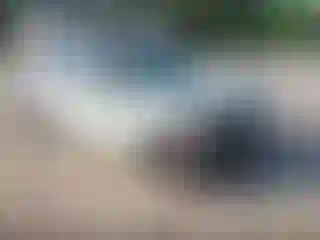 Vehicle Image- 2019 Volkswagen Jetta