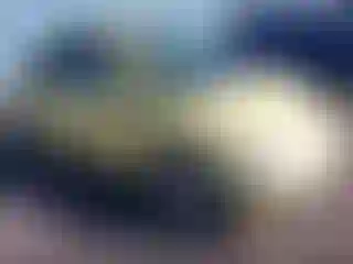 Vehicle Image- 1999 Volkswagen Beetle