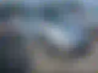 Vehicle Image- 2002 Volkswagen Beetle