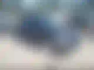 Vehicle Image- 2002 Volkswagen Beetle
