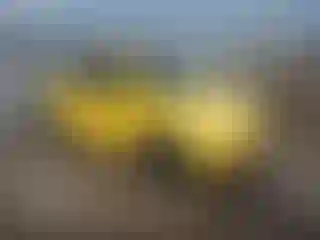 Vehicle Image- 2000 Volkswagen Beetle