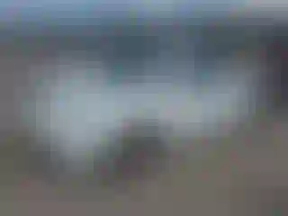 Vehicle Image- 2000 Volkswagen Beetle