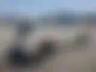 Vehicle Image- 2004 Volkswagen Beetle
