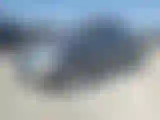Vehicle Image- 2003 Volkswagen Beetle