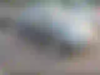 Vehicle Image- 2004 Volkswagen Beetle