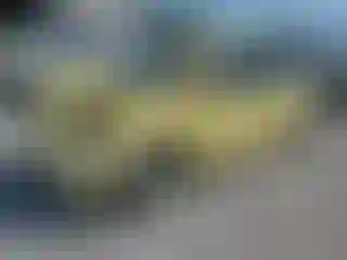 Vehicle Image- 2002 Volkswagen Beetle