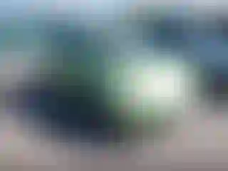 Vehicle Image- 2003 Volkswagen Beetle