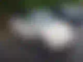 Vehicle Image- 2004 Volkswagen Beetle