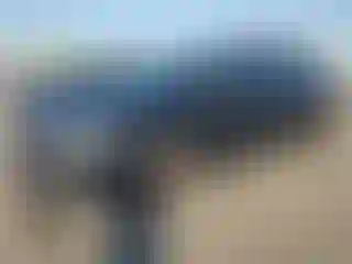 Vehicle Image- 2015 Volkswagen Jetta