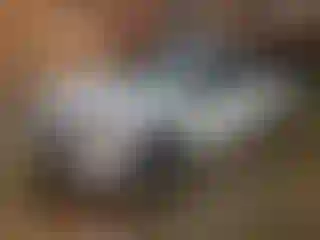 Vehicle Image- 2016 Volkswagen Jetta