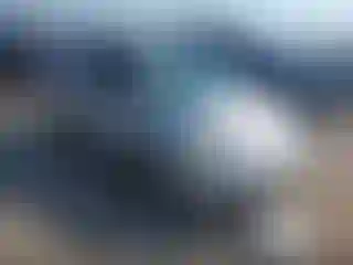 Vehicle Image- 2001 Volkswagen Beetle