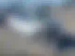 Vehicle Image- 2001 Volkswagen Beetle