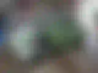 Vehicle Image- 2000 Volkswagen Beetle