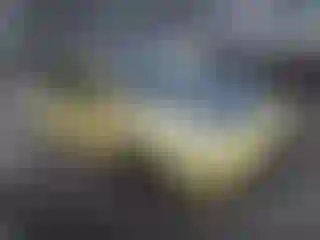 Vehicle Image- 2000 Volkswagen Beetle
