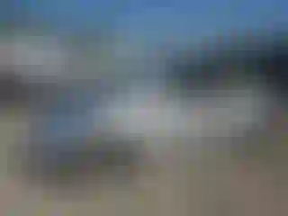 Vehicle Image- 2000 Volkswagen Beetle