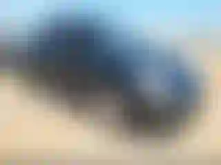Vehicle Image- 2001 Volkswagen Beetle