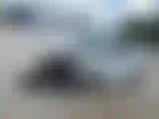 Vehicle Image- 2016 Volkswagen Beetle