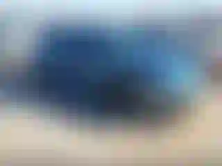 Vehicle Image- 2019 Volkswagen Beetle
