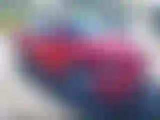 Vehicle Image- 2019 Volkswagen Beetle