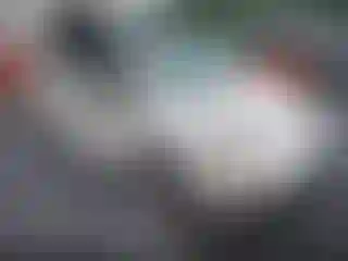 Vehicle Image- 2007 Volkswagen Beetle