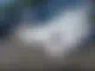 Vehicle Image- 2013 Volkswagen Beetle