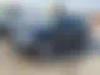 Vehicle Image- 2014 Volkswagen Beetle