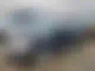 Vehicle Image- 2014 Volkswagen Beetle